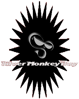 Welcome to the Make Believe World of SilverMonkeyBoy